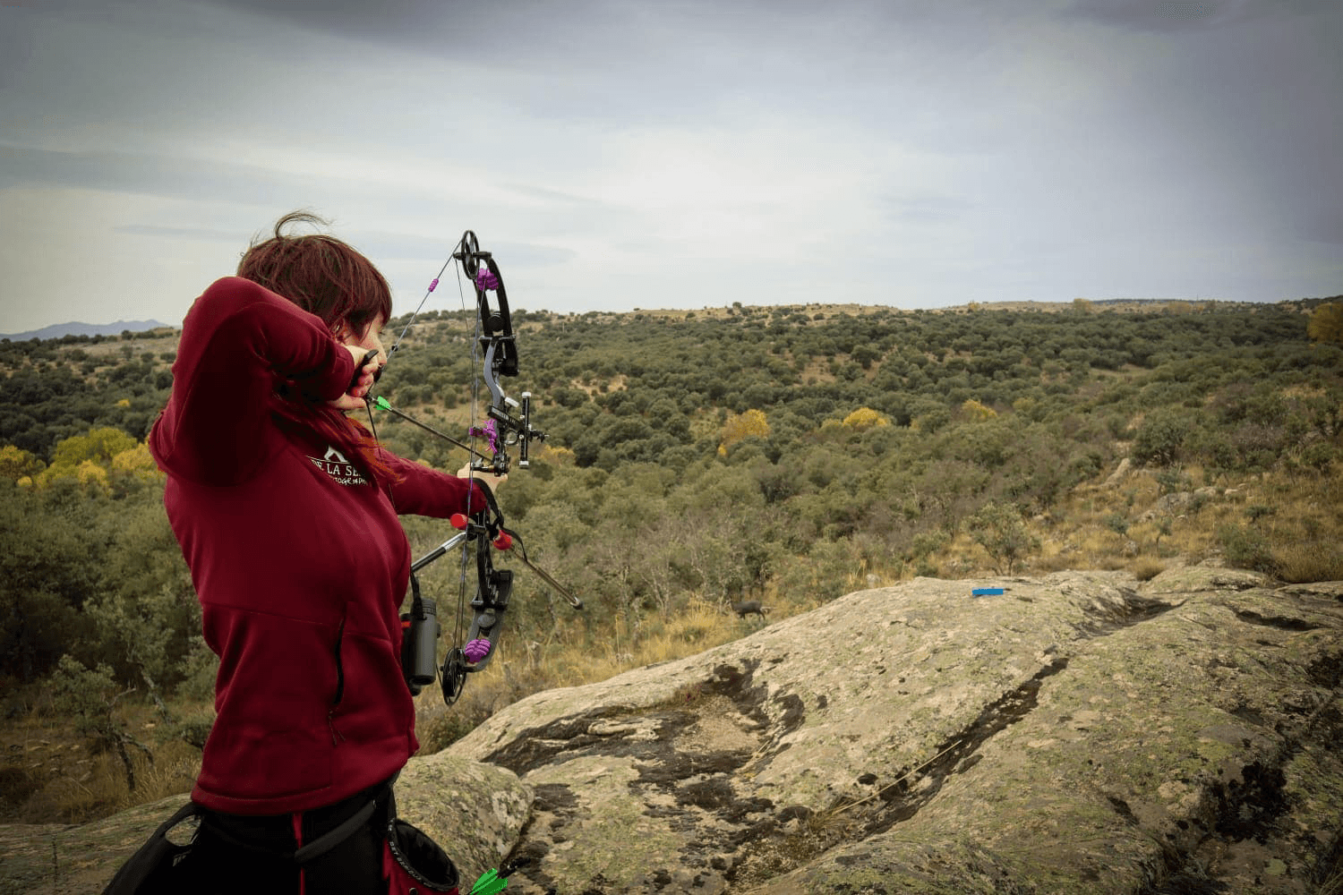 Mock image: pnereaok.png